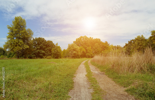 The sun shines over the road in nature among the green grass. The road will lead into the forest. summer landscape