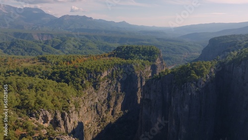 Mountain landscape. Aerial drone view of big green canyon in sunny weather. Green trees and gray rocks. © flashmovie