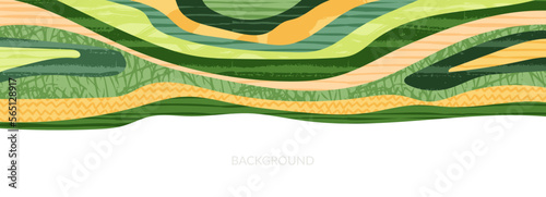 Green abstract rice field top view texture vector background. Nature pattern, eco illustration, countryside banner design. Agriculture horizontal landscape, ecological header layout, rural panorama