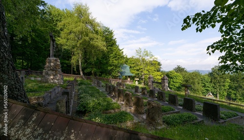 Forest cemetery in spring. Hostyn. Eastern Moravia. Czechia.