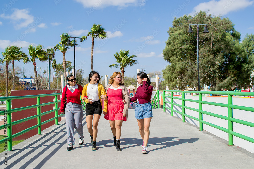 Obraz premium Grupo de amigas caminando de frente. Chicas dando caminata en el parque