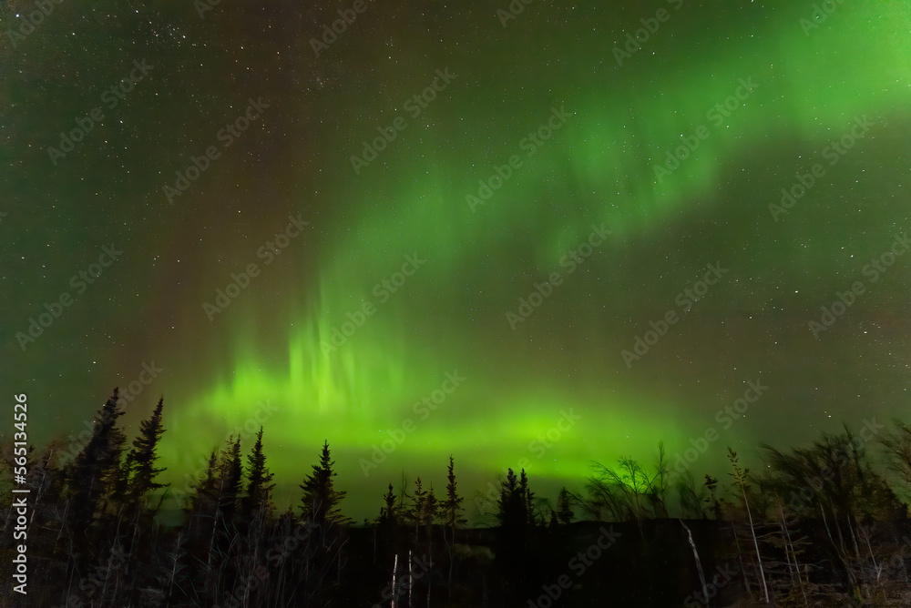 Aurora borealis green northern lights in Alaska