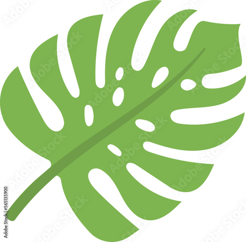 Monstera leaf. Green tropical jungle plant icon