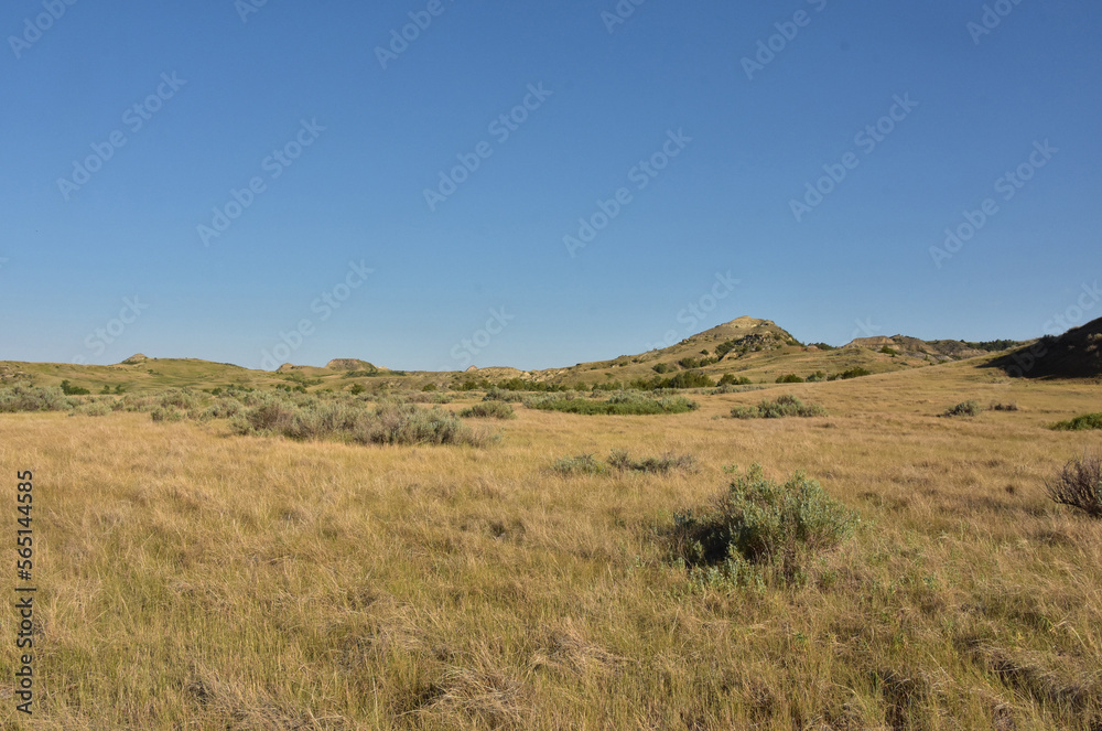 Stunning Grasslands with Hills in North Dakota