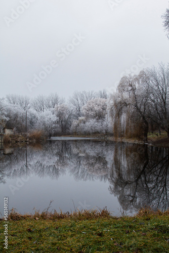Obraz na płótnie Winter landscape in Moldova on a cloudy day. w salonie