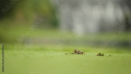 Tight Shot of Golfer Hitting Golf Ball and Leaving Divot