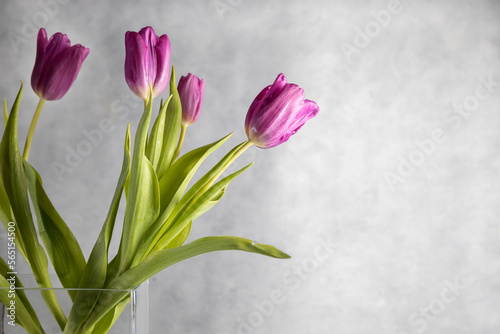 Fototapeta Naklejka Na Ścianę i Meble -  Bouquet of pink tulips on light gray background