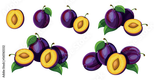 Set of fresh purple plums in cartoon style. Vector illustration of tasty fruits whole and cut, large and small sizes with green leaves isolated on white background.