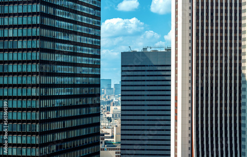Skyscrapers above the cityscape of Shinjuku, Tokyo