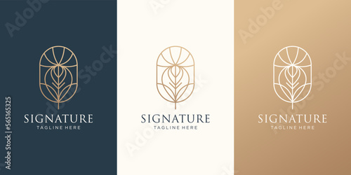 geometric signature quill feather peacock logo design template.feather ink linear art shape design.
