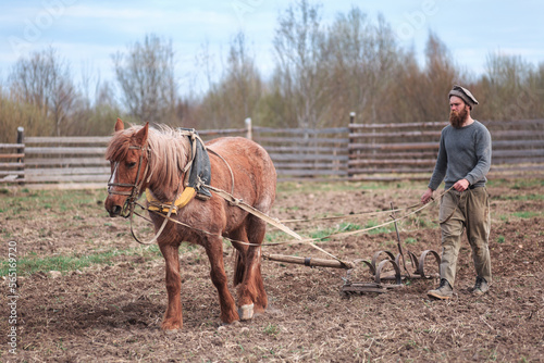 The gardener sows wheat in the garden on a horse, plows the land. © Константин Чернышов