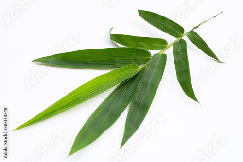 Bamboo leaves on white background.