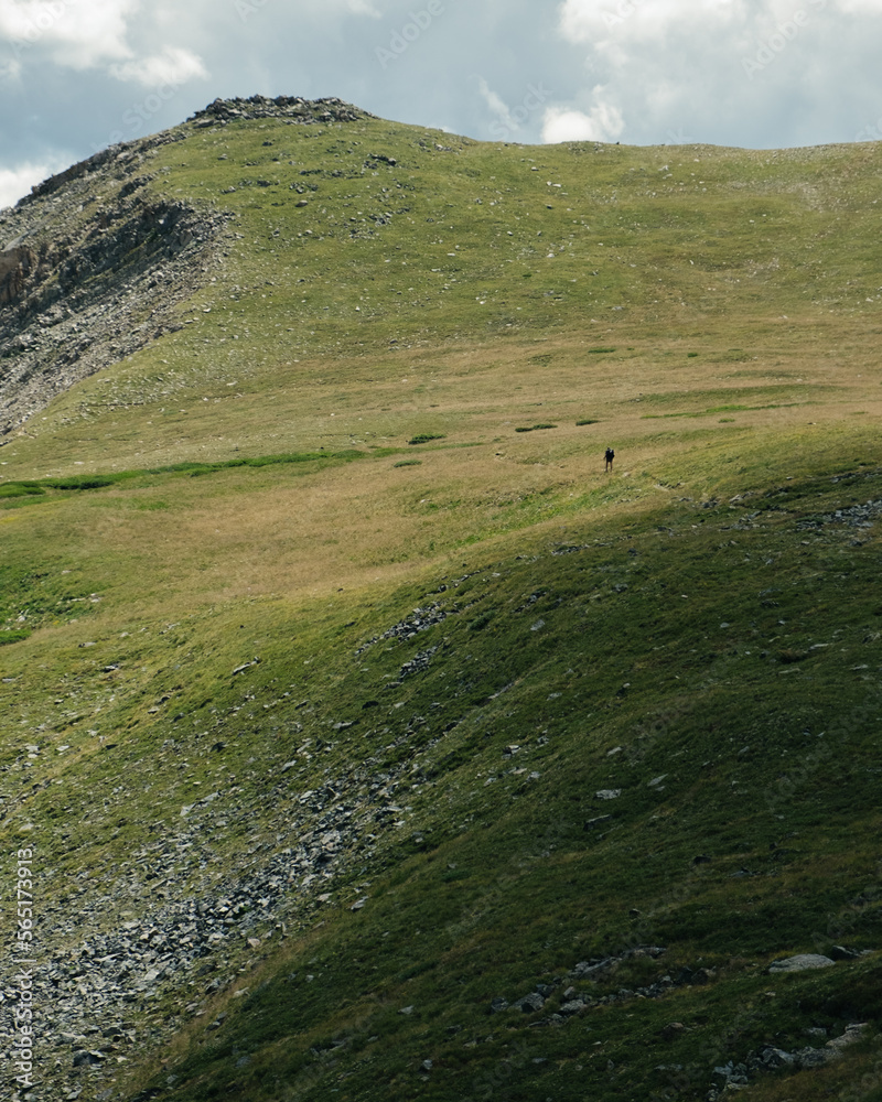 Obraz premium Walking alone