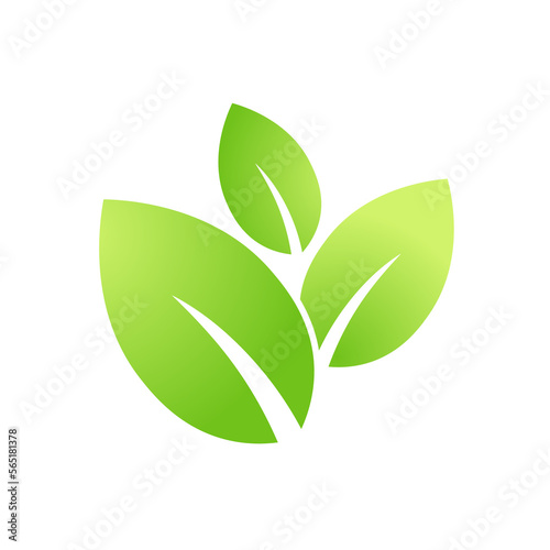 Eco green leaf icon Bio nature green eco symbol for web and business © Eugene B-sov