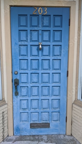 Blue Door