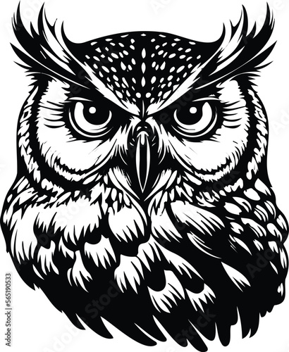  eagle owl head. Birds. Black white hand drawn doodle, Tatoo owl