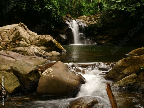 Amazonía en Juanjui photo