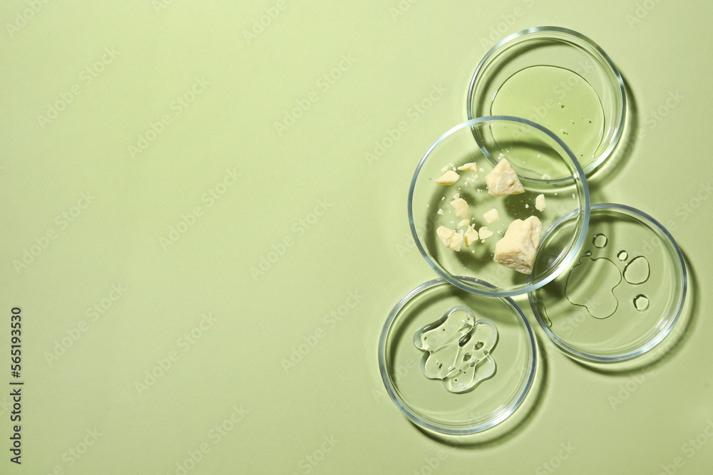 Flat lay composition with Petri dishes on light green background. Space for text