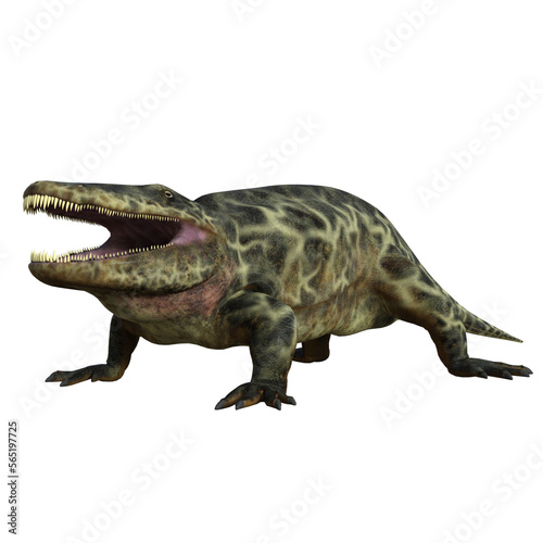 Eryops dinosaur isolated 3d render photo