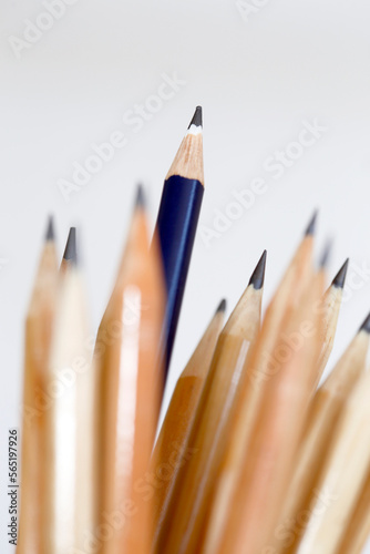 Blue pencil in focus on beam of natural wood pencils. White background. Space for text. Selective focus