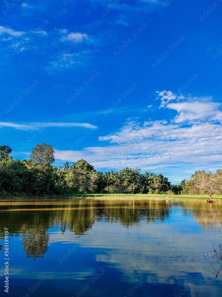 Landscape with lake and trees