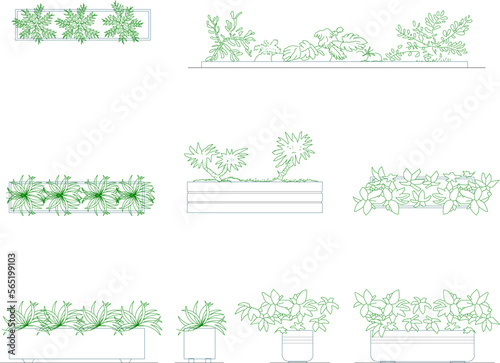 Vector sketch of modern minimalistic potted plant illustration