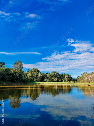Landscape with lake and trees