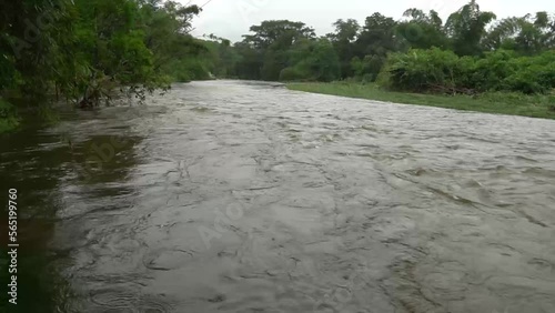 Rio da Mata atlântica após chuvas torrenciais photo