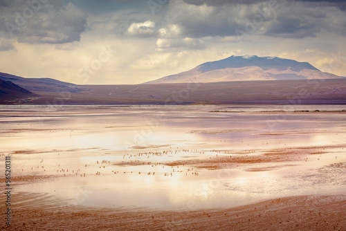 Obraz na płótnie Laguna colorada, Red lake, with Flamingos and Volcanic landscape, Andes, Bolivia w salonie