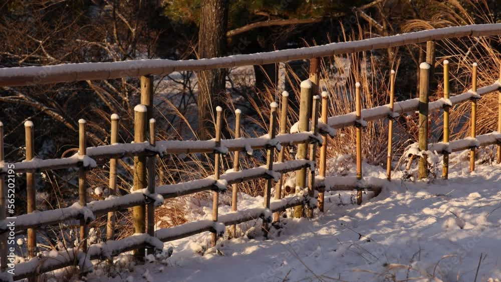 Slow pan over traditional Japanese bamboo fence in snow at golden hour