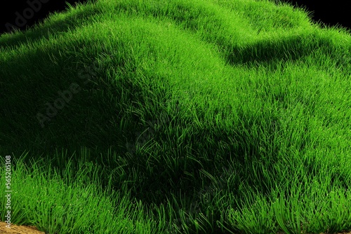 3d grass green realistic natural meadow for design and etc. Bright 3d illustration render. Lush green grass meadow background. fresh green grass