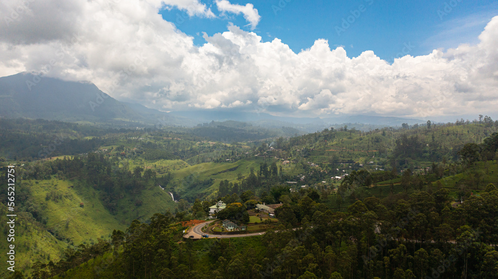 Top view of Tea estate in Sri Lanka. High mountain tea plantation.