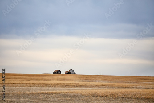 Crumbling farm yard buildings