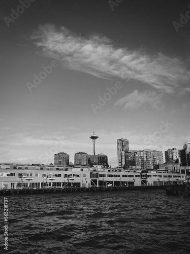 Seattle from the Sea.