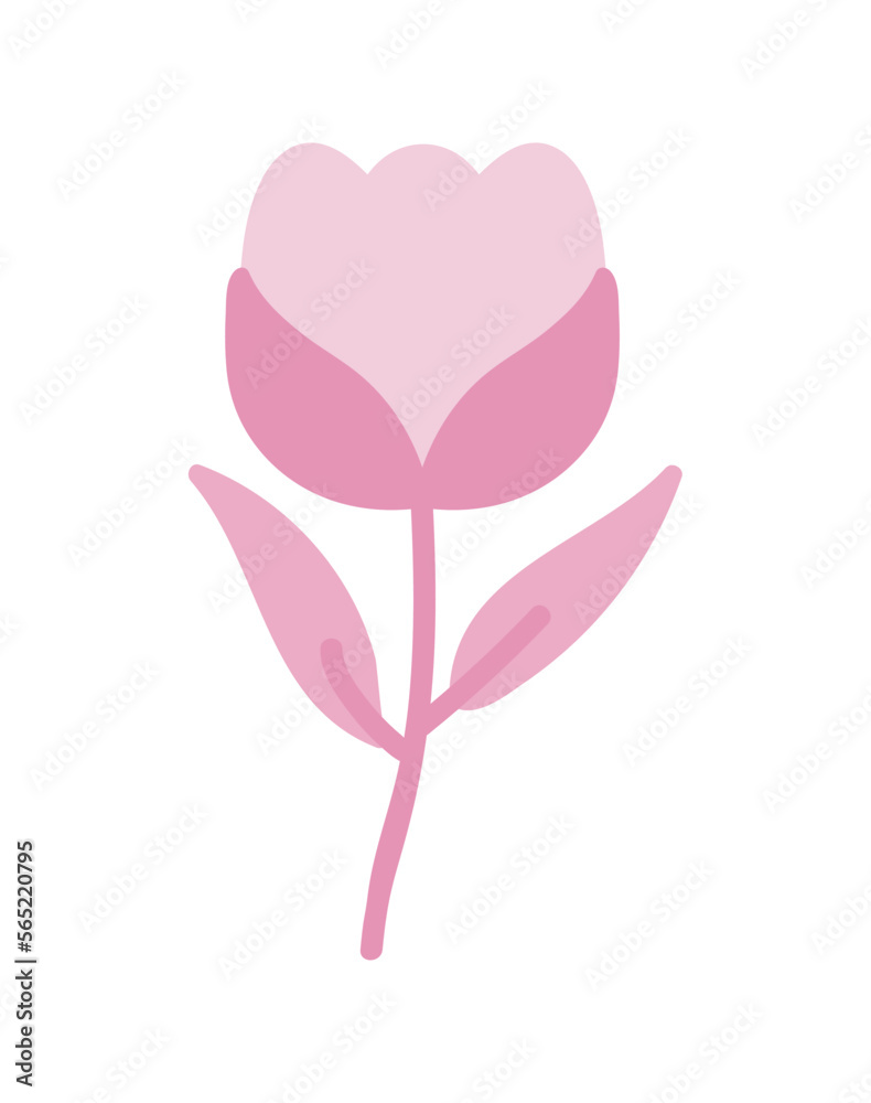 pink flower tulip pink flower tulip