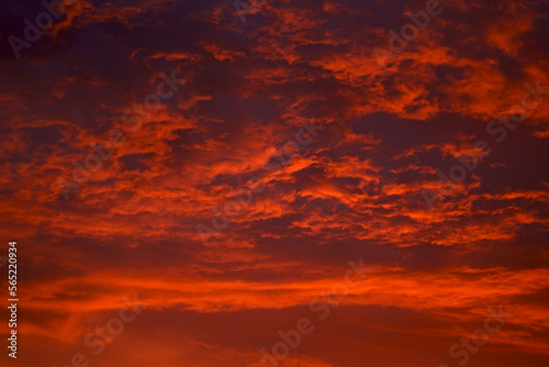 Fototapeta Naklejka Na Ścianę i Meble -  Red sunset. Amazing summer sunrise background. Beautiful blazing sunset