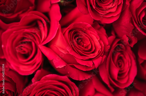 red roses background. Mother day