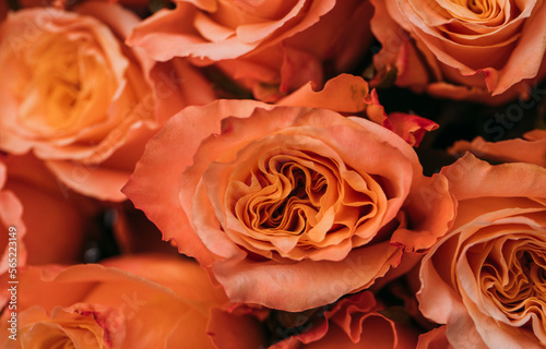 bouquet of orange roses