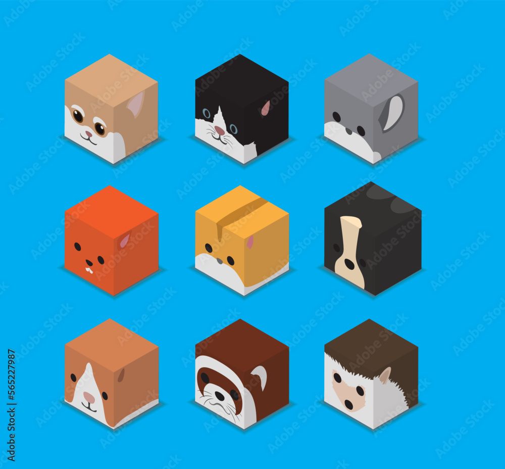 Dice Box 3D Character Pet Rodent Animal Set Cartoon Vector