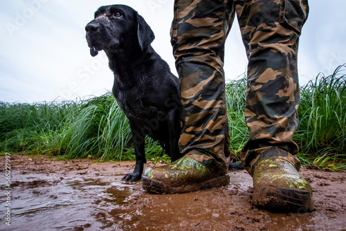 Hunter and black labrador being trained for duck hunting photo