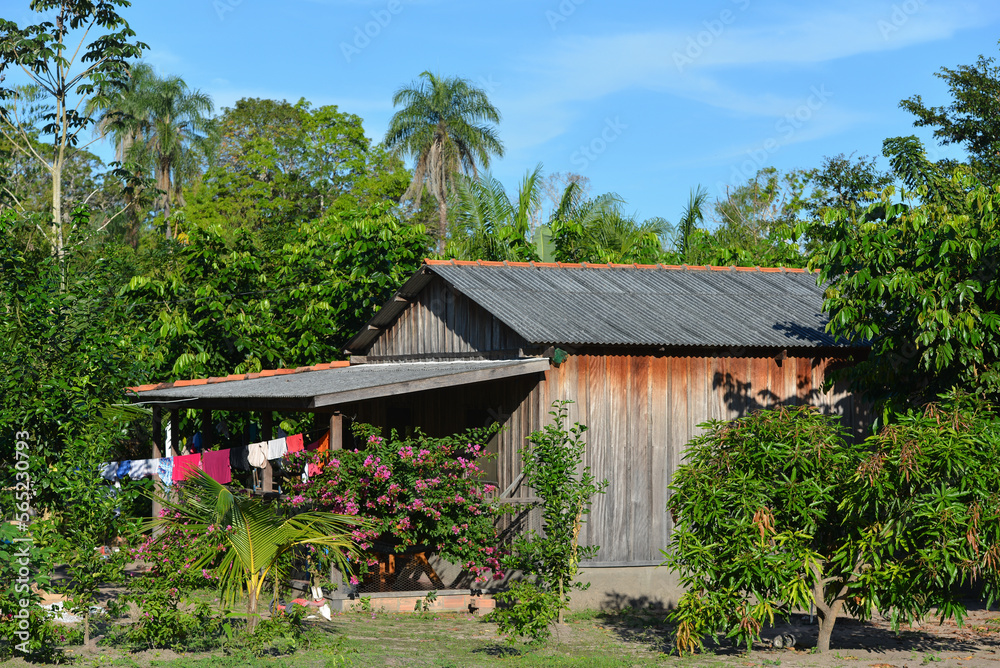 A simple wooden house in the Quilombo of Santo Antonio, a settlement founded mainly by descendants of escaped slaves, Rondonia state, Brazil, on the border with Beni Department, Bolivia