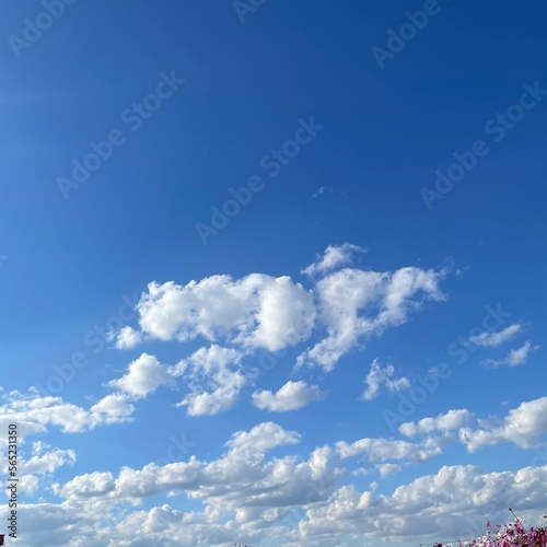 sky and clouds © 成美 安部