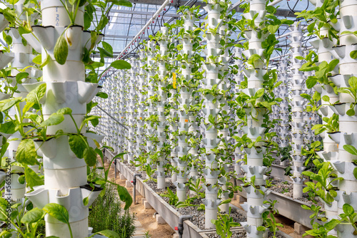 Foto Sustainable Agriculture