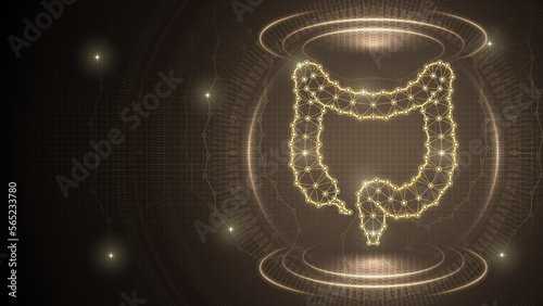 Human Organ Large Intestine Colon Gastrointestinal System Medical Low Poly Polygonal Triangulated Line Dot Connection Geometric Grid Brown Background Infographic Template