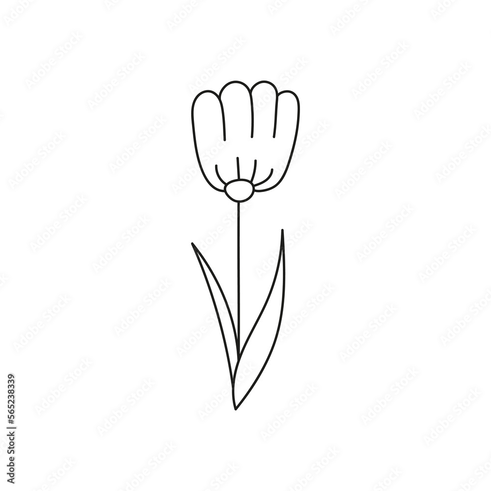 Hand drawn illustration of flowers Hand drawn illustration of flowers