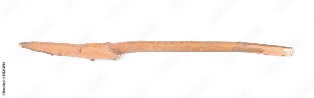 One dry tree twig isolated on white