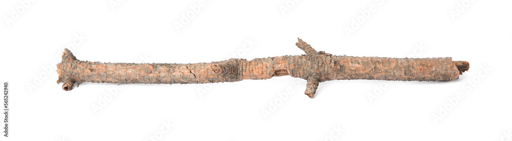 One dry tree twig isolated on white One dry tree twig isolated on white