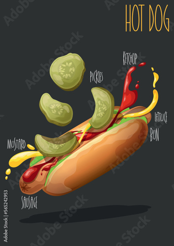 Hot dog. Fast food. Vector illustration 