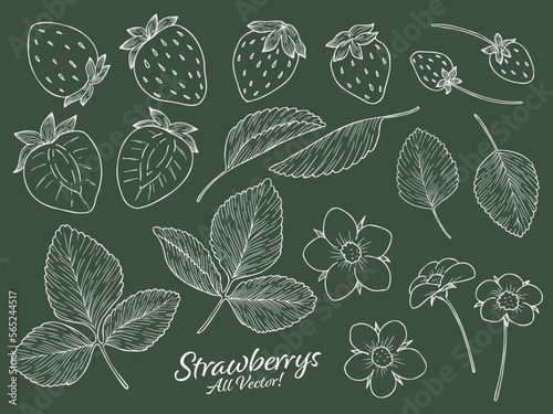 苺の線画ベクターイラストパーツセット　白線