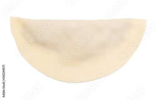 Cheburek from dough and minced meat on a white background. Close-up